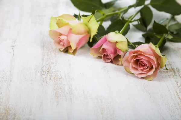 Roze rozen op een houten achtergrond. — Stockfoto