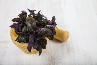 Fesleğen hafif ahşap arka plan üzerinde.