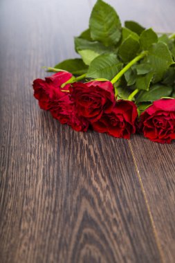 Koyu ahşap arka plan üzerinde kırmızı gül. 