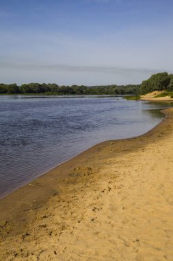 bir nehir ve kumlu bir plaj üzerinde bir yaz d ile güzel manzara
