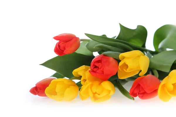 Kytice tulipánů na bílém pozadí. — Stock fotografie