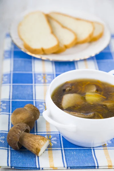 Soup of wild mushrooms on a wooden table. — Stock Photo, Image