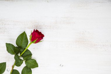 Ahşap arka planda kırmızı gül. 