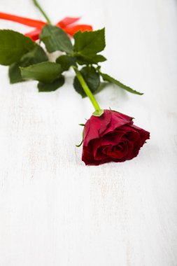 Ahşap arka planda kırmızı gül. 