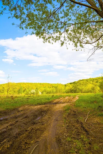 田園地帯を抜ける田舎道. — ストック写真