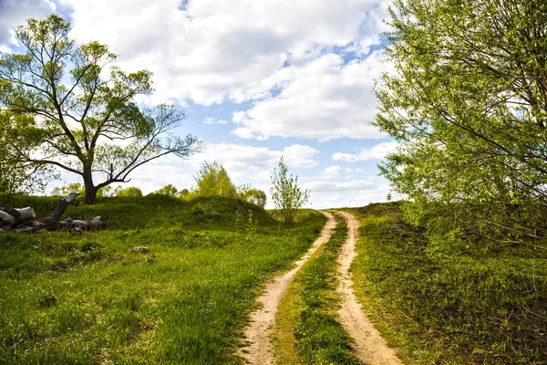 Strada di campagna attraverso il campo. — Foto Stock