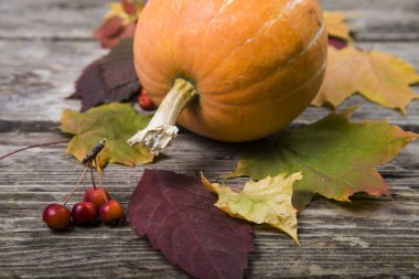 Kabaklar ve sonbahar yaprakları  