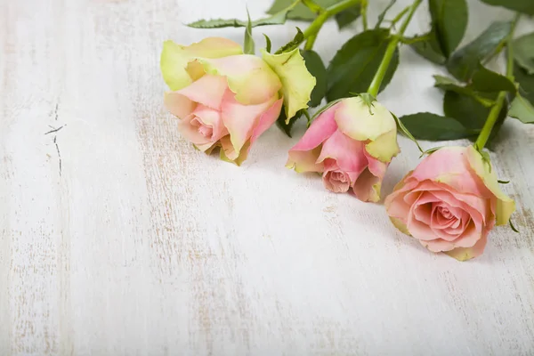 Pink roses  on a wooden background. — Stock Photo, Image
