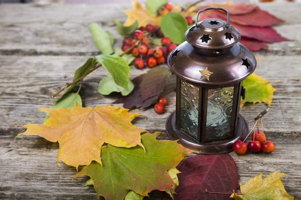 Citrouilles, lanterne et feuilles d'automne — Photo