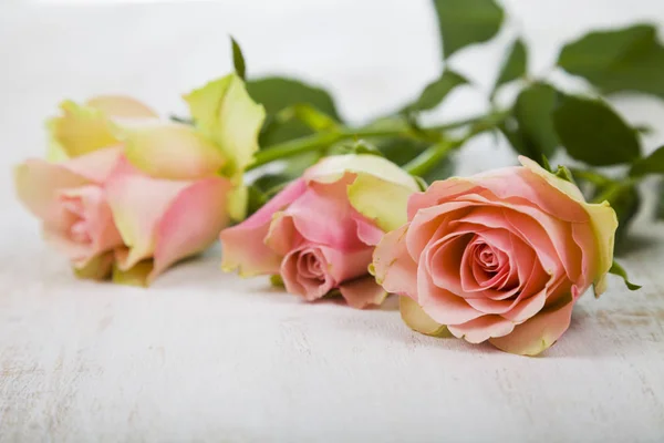Ροζ τριαντάφυλλα σε ξύλινο φόντο. — Φωτογραφία Αρχείου