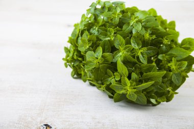 Hafif ahşap arka plan üzerinde taze fesleğen