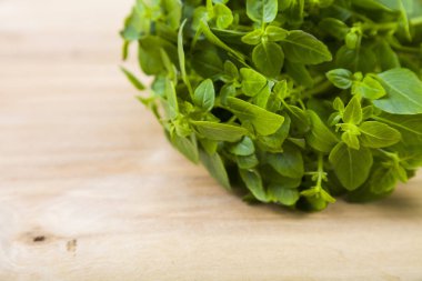 Hafif ahşap arka plan üzerinde taze fesleğen. 