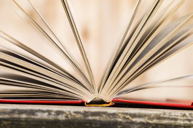 Tahta bir masanın üzerinde açık bir kitap  
