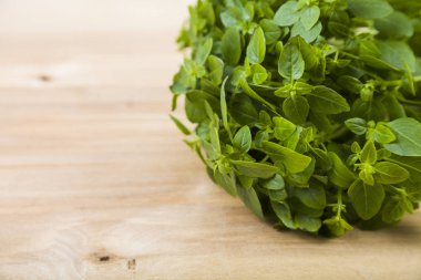 Hafif ahşap arka plan üzerinde taze fesleğen