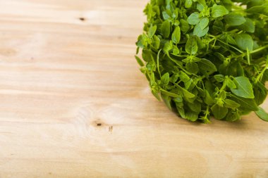 Hafif ahşap arka plan üzerinde taze fesleğen.