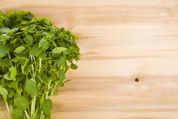 Hafif ahşap arka plan üzerinde taze fesleğen.