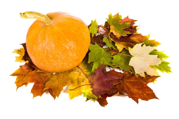 Pumpkins and fall leaves — Stock Photo, Image