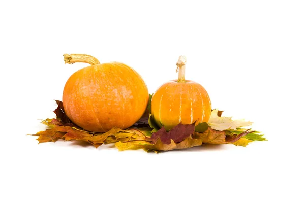 Pumpkins and fall leaves — Stock Photo, Image