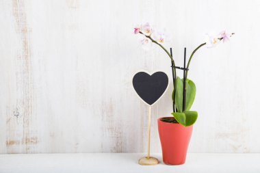 Orkide (Phalaenopsis) ve bir kalp  