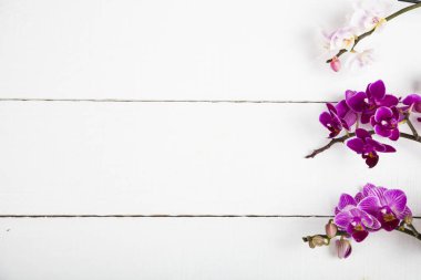 Orkide (Phalaenopsis) bir beyaz ahşap tablo