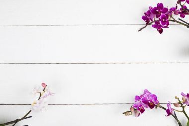 Orkide (Phalaenopsis) bir beyaz ahşap tablo