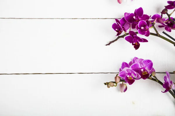 Orchidea (Phalaenopsis) egy fehér fa tábla — Stock Fotó