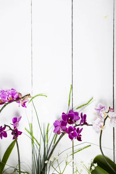 Orchidee und dekorative Blätter — Stockfoto