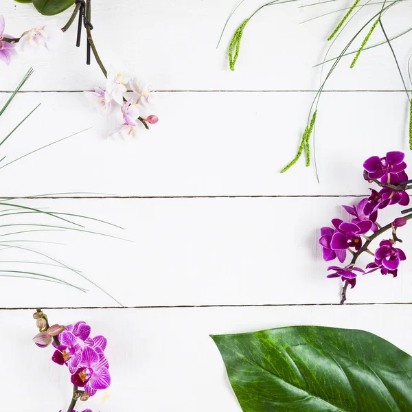Rahmen aus Orchideen und Blättern — Stockfoto
