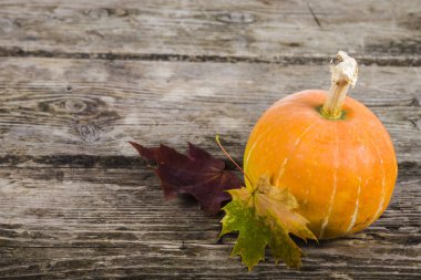 Kabaklar ve sonbahar yaprakları 