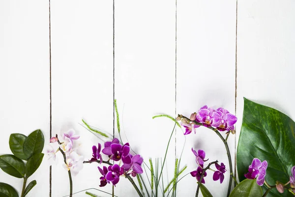Orchidee und dekorative Blätter — Stockfoto