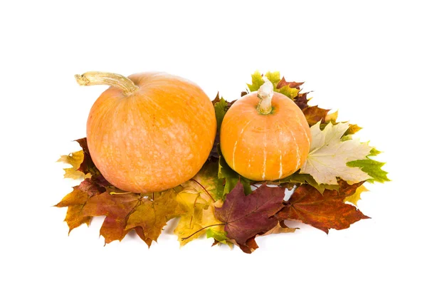 Pumpkins and fall leaves — Stock Photo, Image