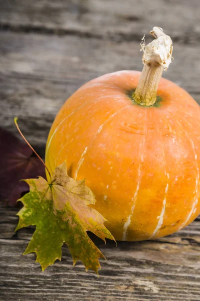 Pumpkins and fall leaves — Stock Photo, Image