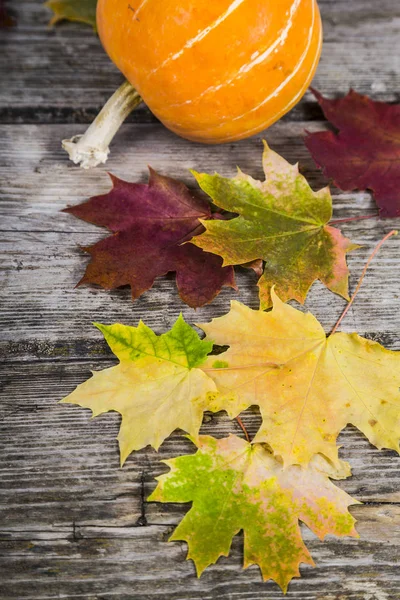 Pumpkins and fall leaves — Stock Photo, Image