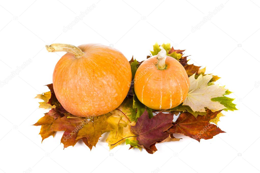 Pumpkins and fall leaves 