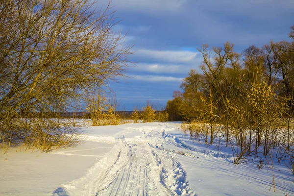 Vackert vinterlandskap. — Stockfoto