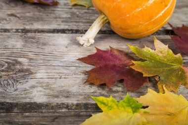 Kabaklar ve sonbahar yaprakları 