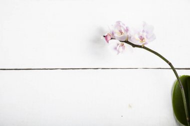 Orkide (Phalaenopsis) bir beyaz ahşap tablo