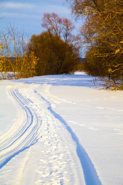 Vackert vinterlandskap. — Stockfoto