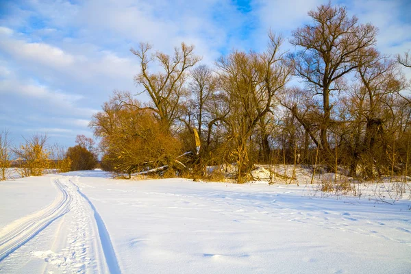 Prachtig winterlandschap. — Stockfoto