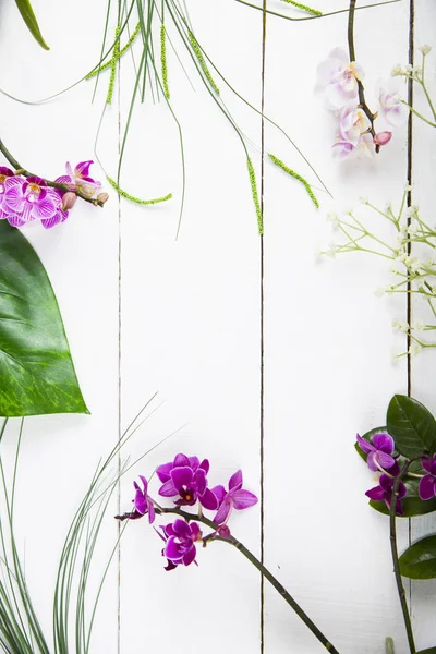 Orchid and decorative leaves