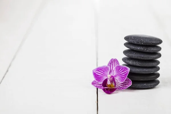 Курортные камни и орхидея — стоковое фото
