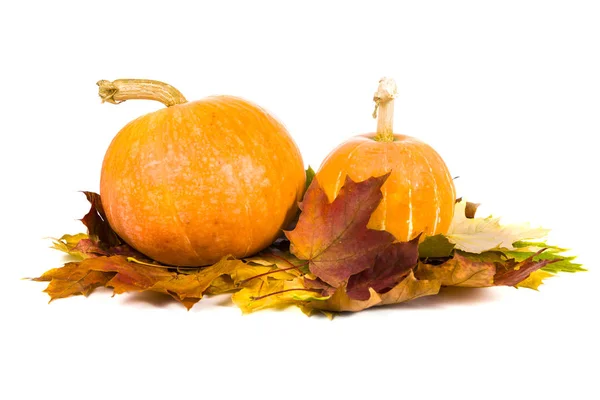 Pumpkins and fall leaves — Stock Photo, Image
