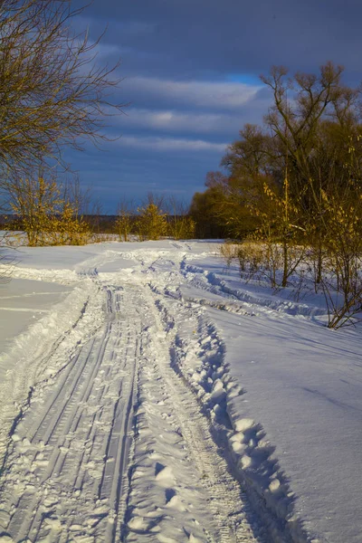 Hermoso paisaje de invierno. — Foto de Stock