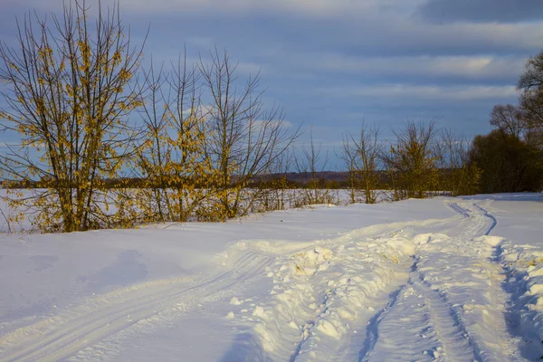 美しい冬の風景. — ストック写真