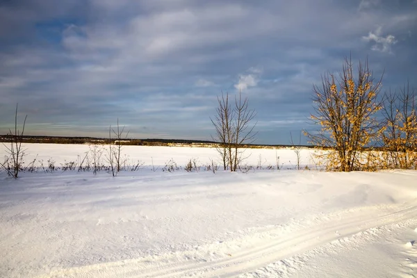 Bellissimo paesaggio invernale. — Foto Stock