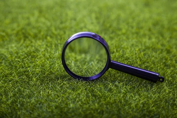 Magnifier on the grass — Stock Photo, Image