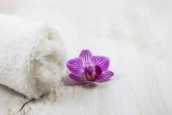 Белое полотенце и орхидея — стоковое фото