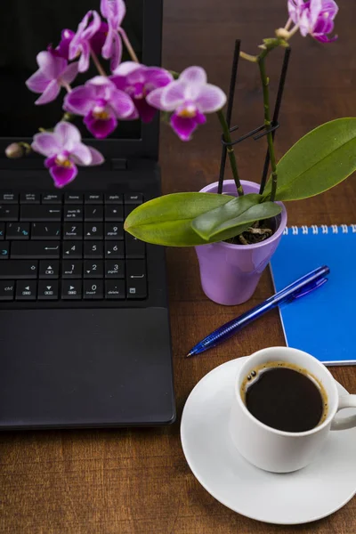 Workplace of businesswoman — Stock Photo, Image