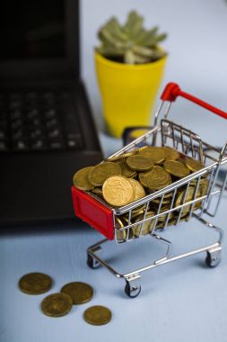 Paralar, dizüstü bilgisayar ve bitki ile alışveriş arabası