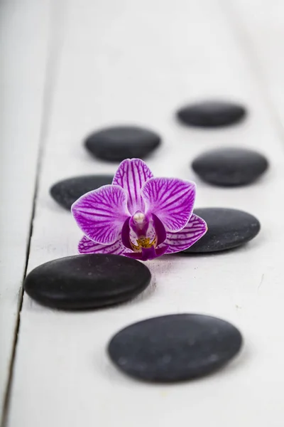 Wellness-Behandlungen auf Holzgrund — Stockfoto